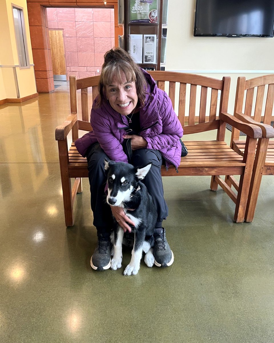 PHS/SPCA tweet media