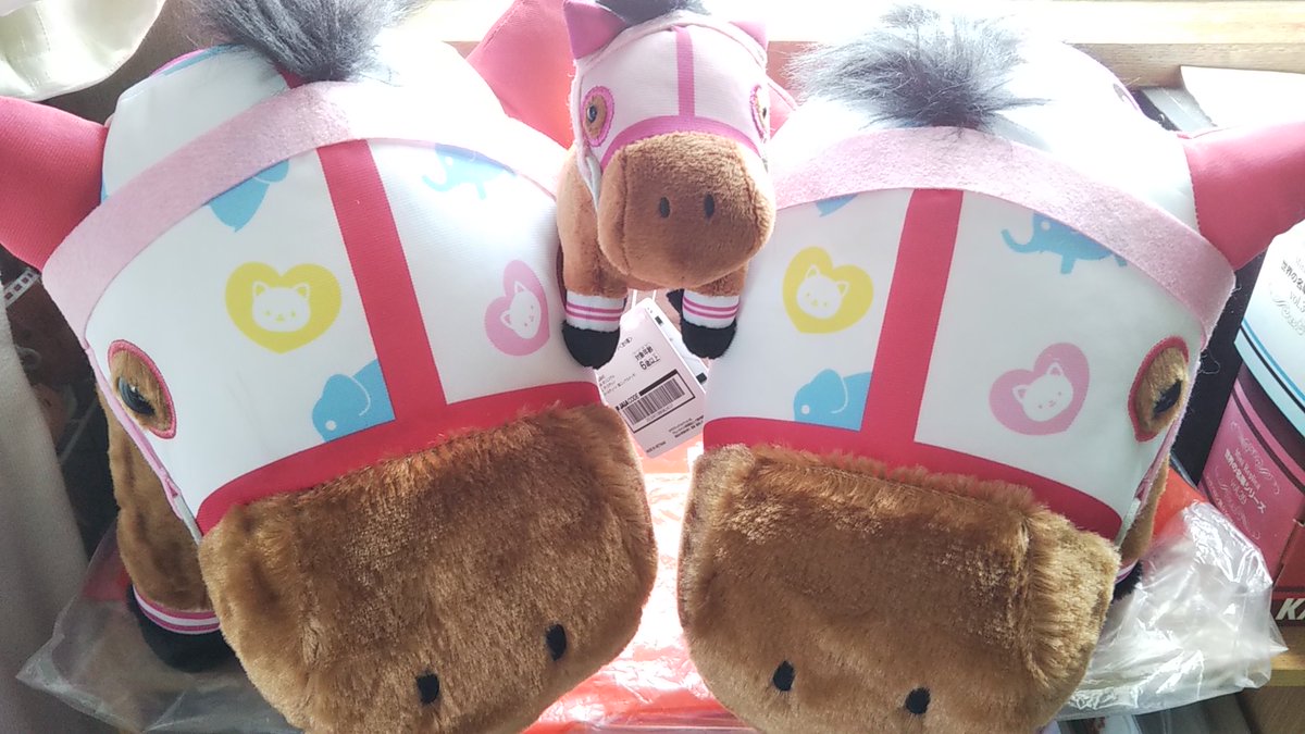 どんがば＠サラコレ🐴 tweet media