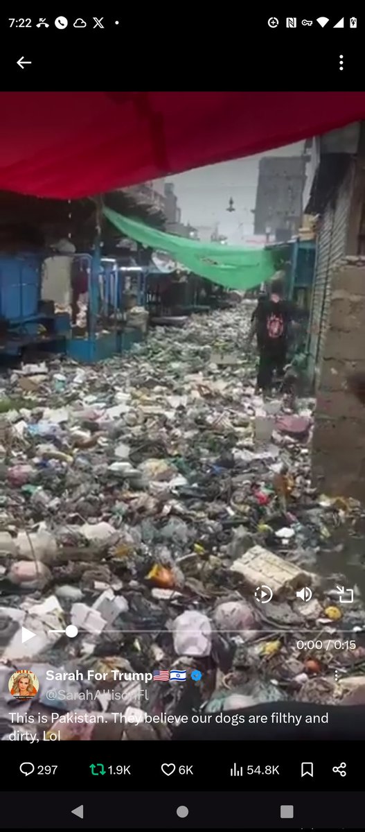 StormyT 🌿 tweet media