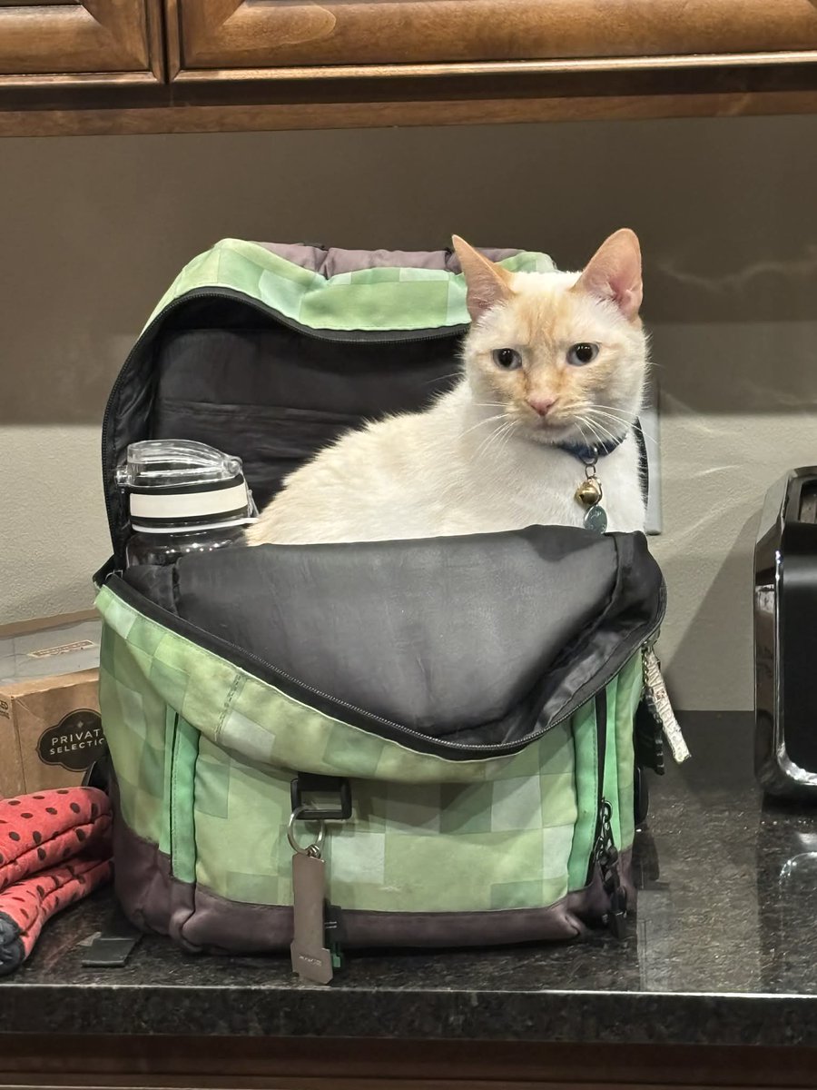 Riot Mort tweet media