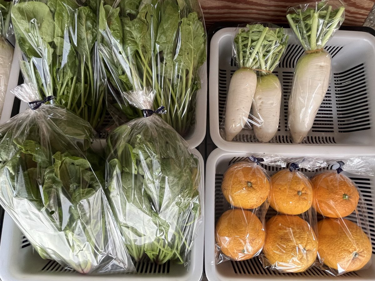 4月24日（金曜日）の産直】 《野菜》100円 ⚫︎🥬ほうれん草→4