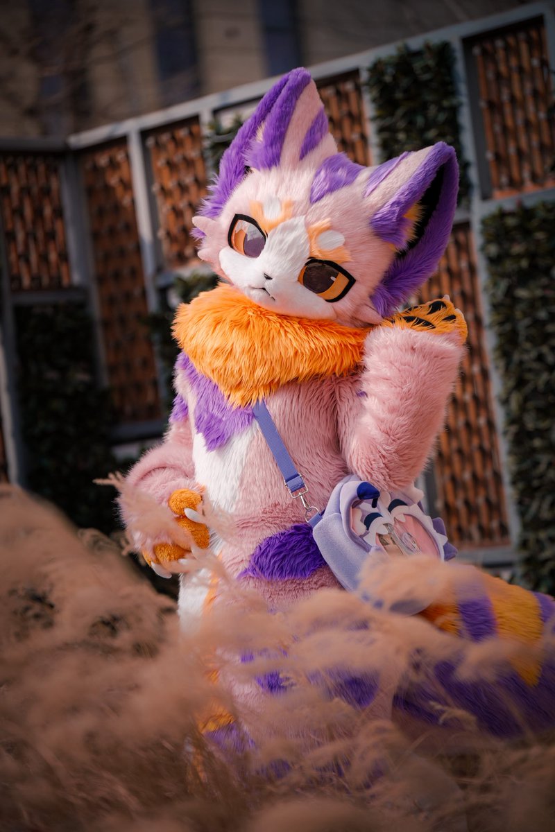 sumimaru710's tweet photo. 💁‍♀️

#FursuitFriday https://t.co/DbKwfdoO7R