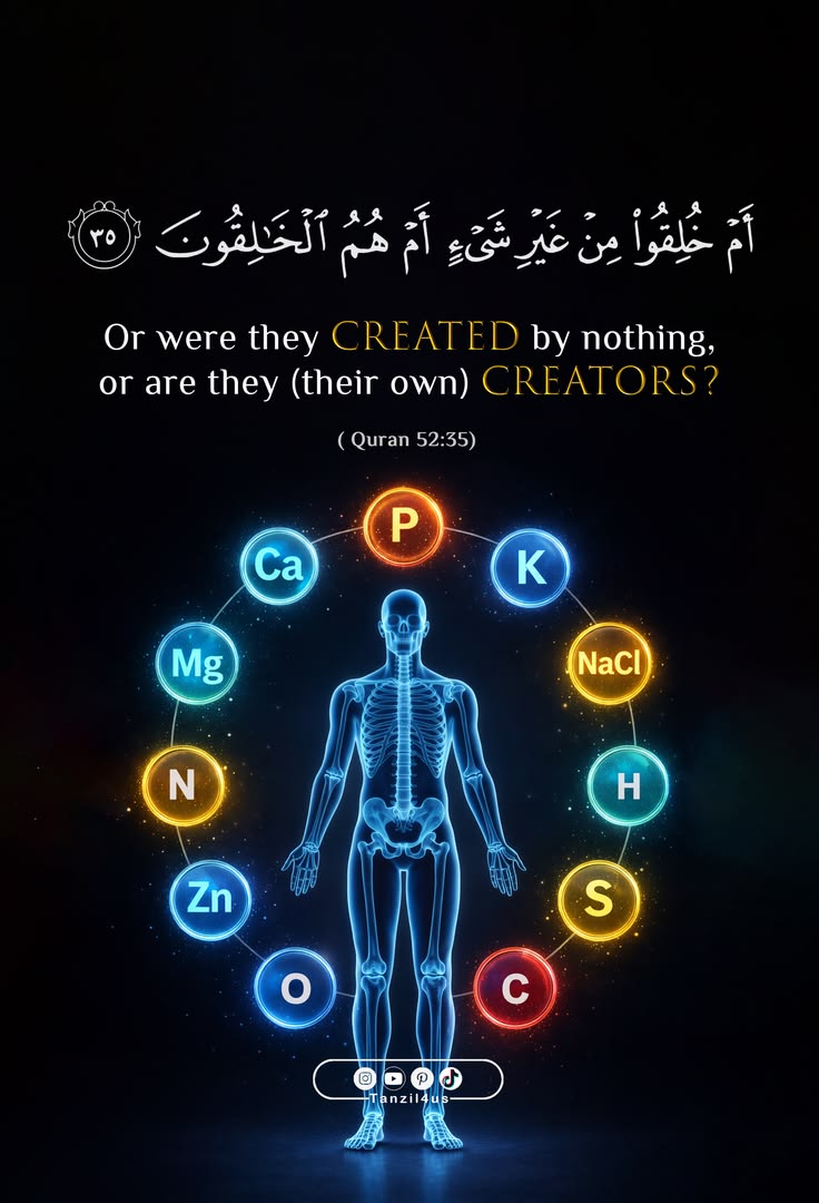 القرآن الکریم tweet media