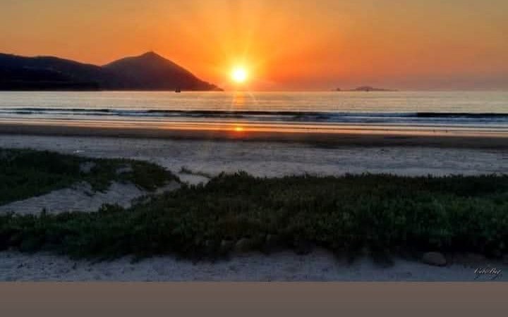 Porfirio León tweet media