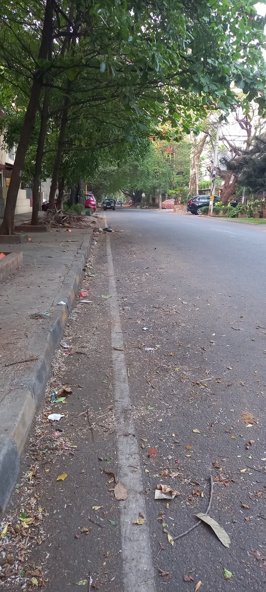 learnedquietly's tweet photo. Jayanagar easily ranks among the best spots in #Bengaluru for early morning cycling... calm streets, fresh air, perfect vibes https://t.co/VBbQHUWnBI