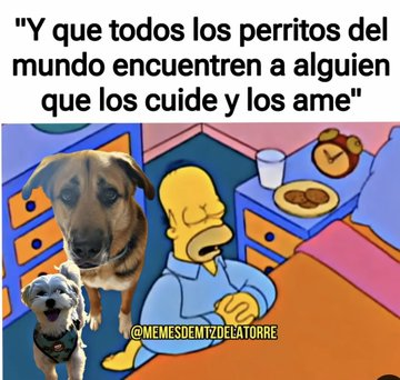 Pensamientos tweet media