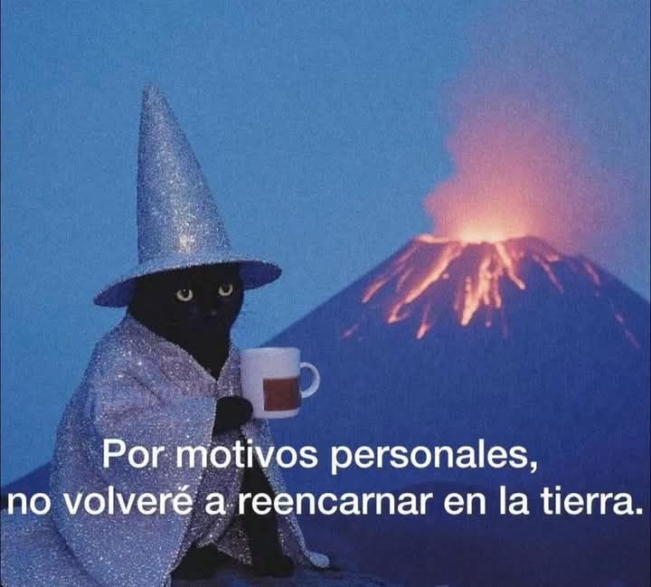 Verónica Higuerón tweet media