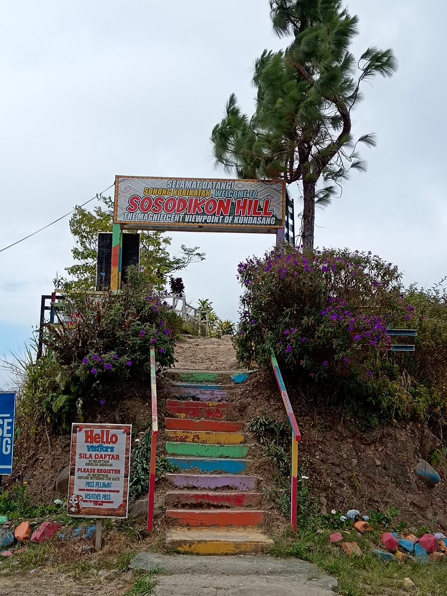 hellosnoopy tweet media