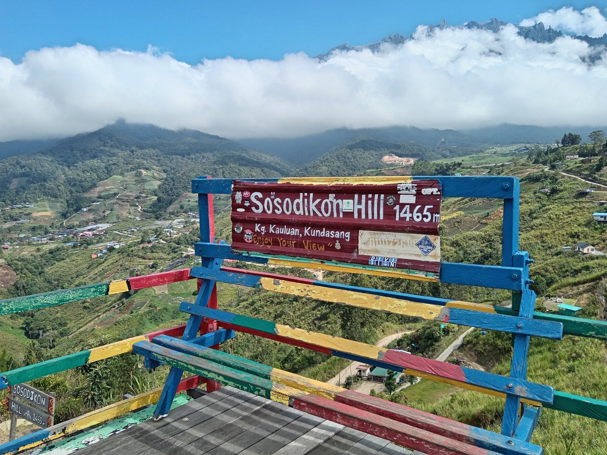 hellosnoopy tweet media