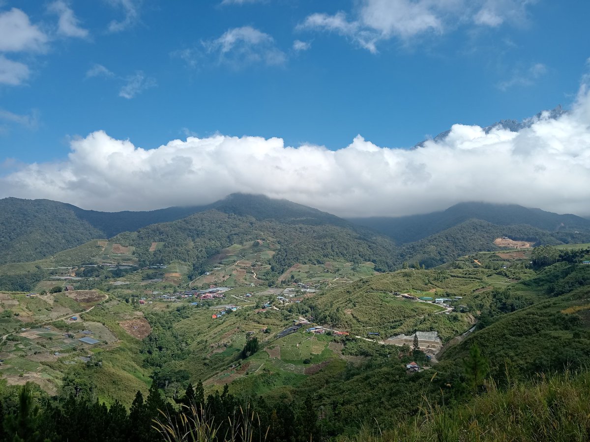 hellosnoopy tweet media