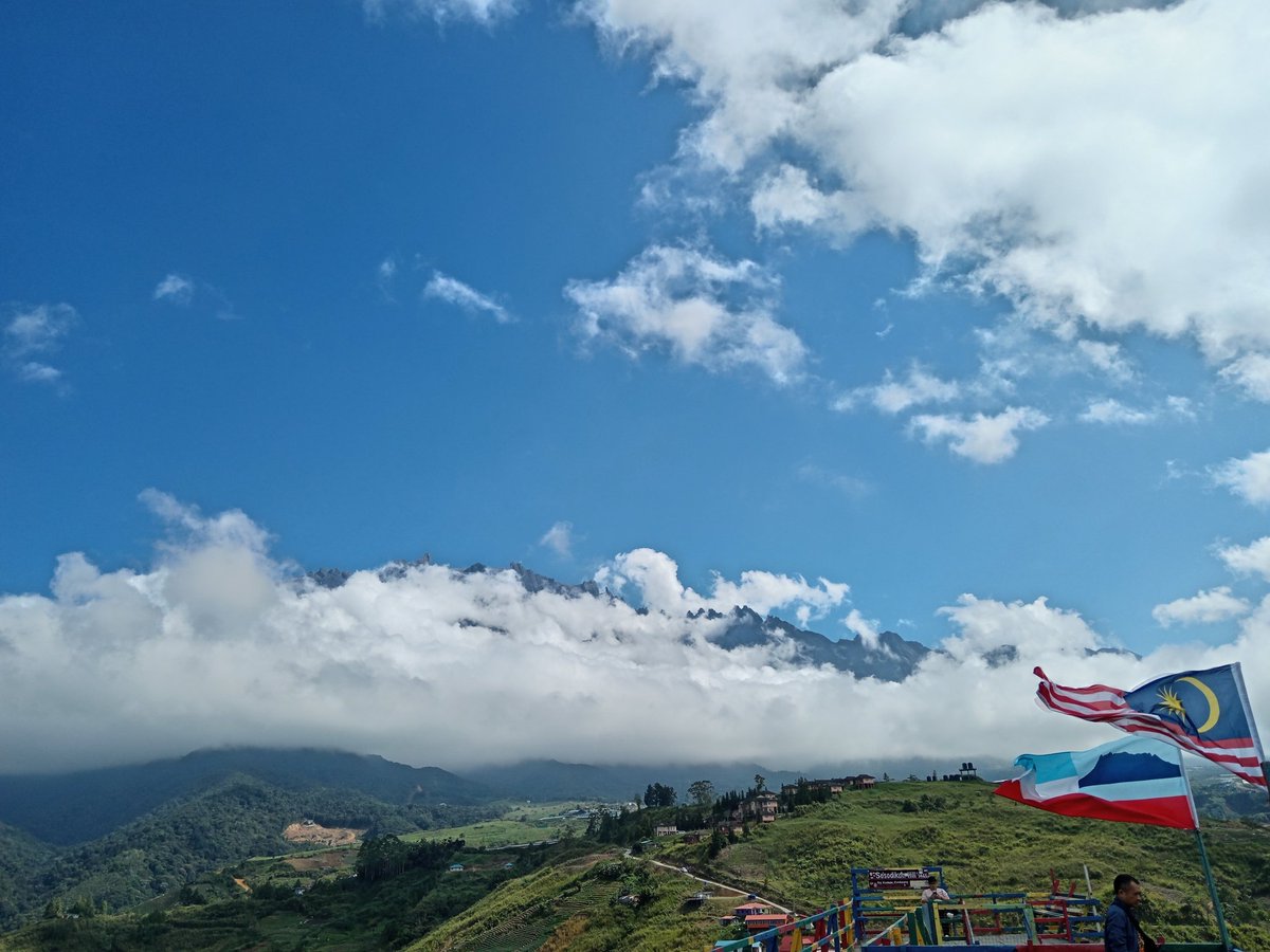 hellosnoopy tweet media