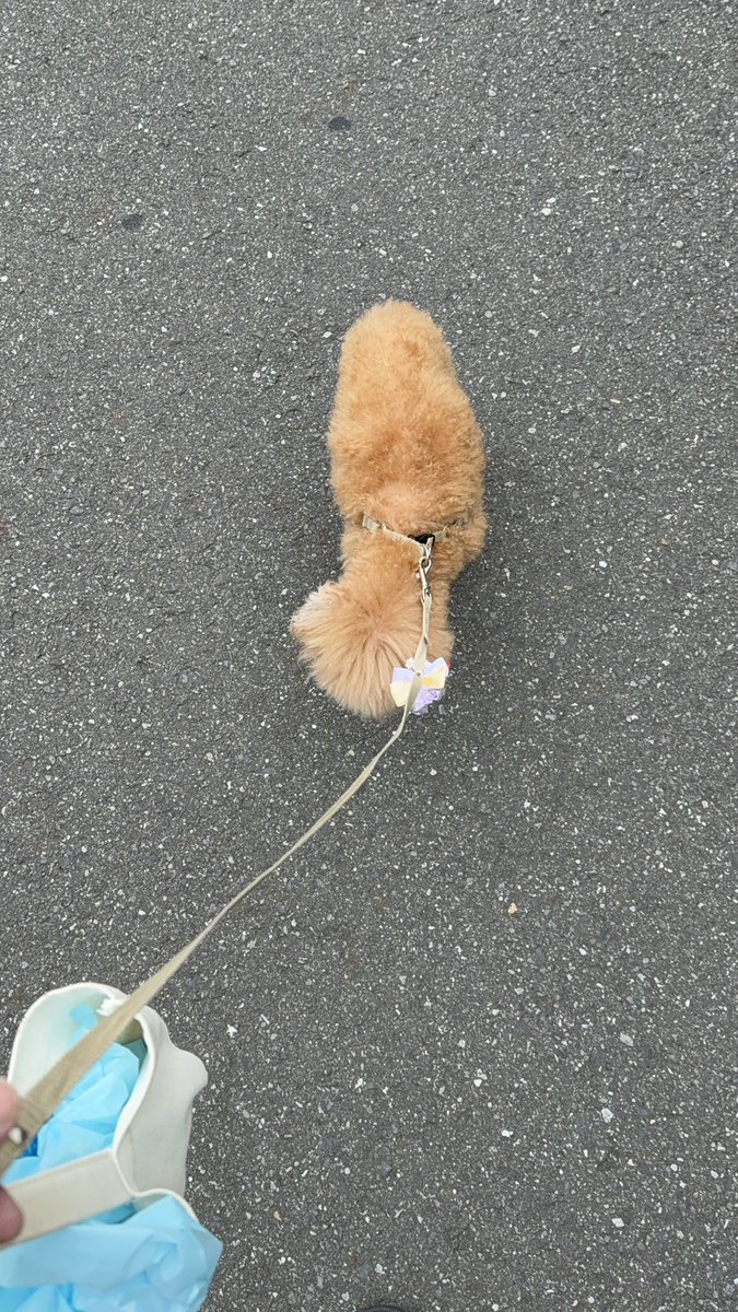 加藤学 tweet media