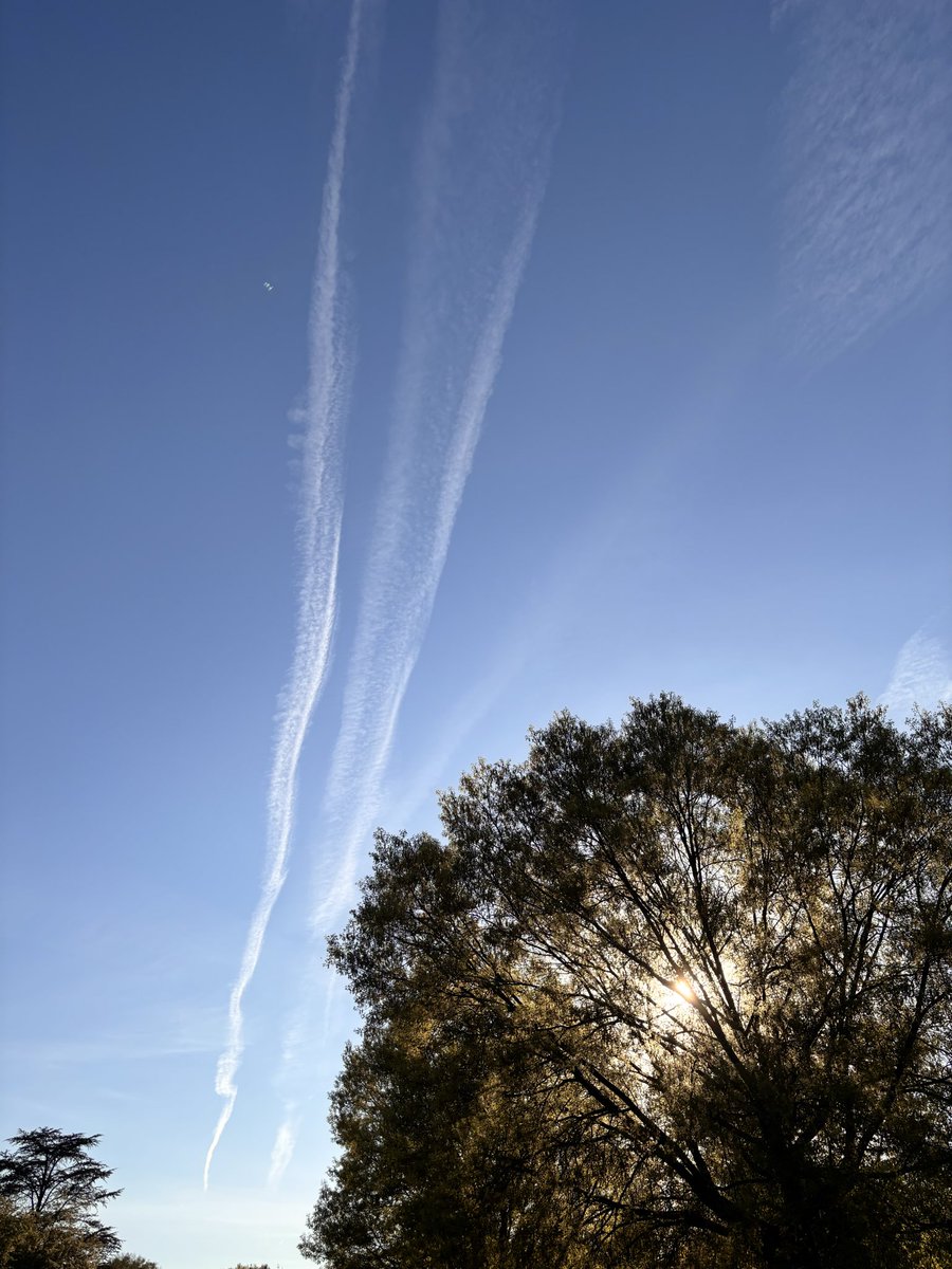 Mike Hogan tweet media