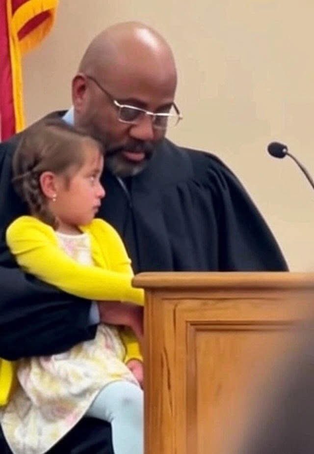 今日の話題コレクション tweet media