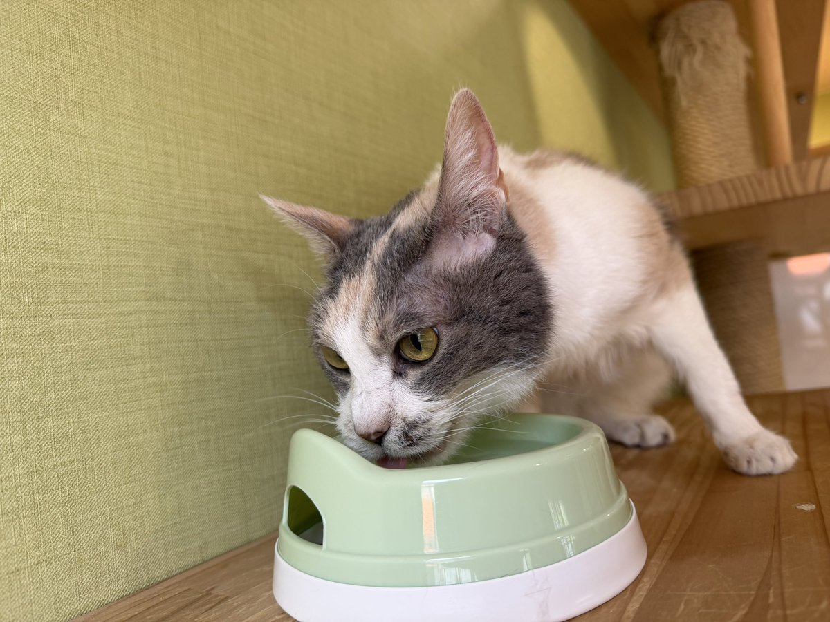 ふれあいひろば日記 tweet media