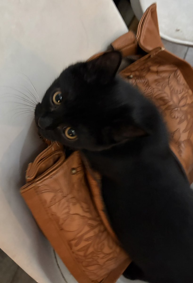 Dra rocks tweet media