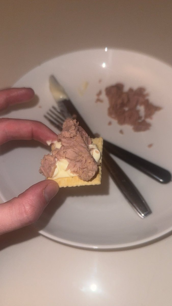 Reiiddo's tweet image. Little snack #tuna #dukesmayo