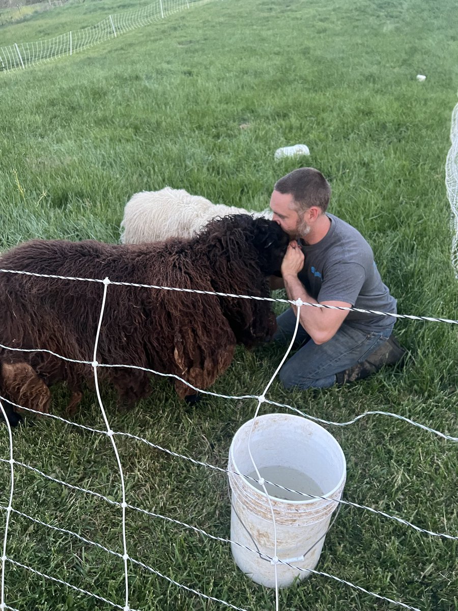 Mathew with Cottage Pastures tweet media