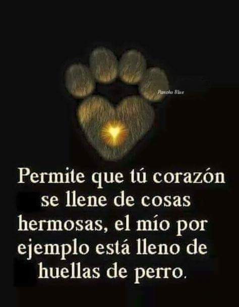 Guadalupe Ramirez tweet media