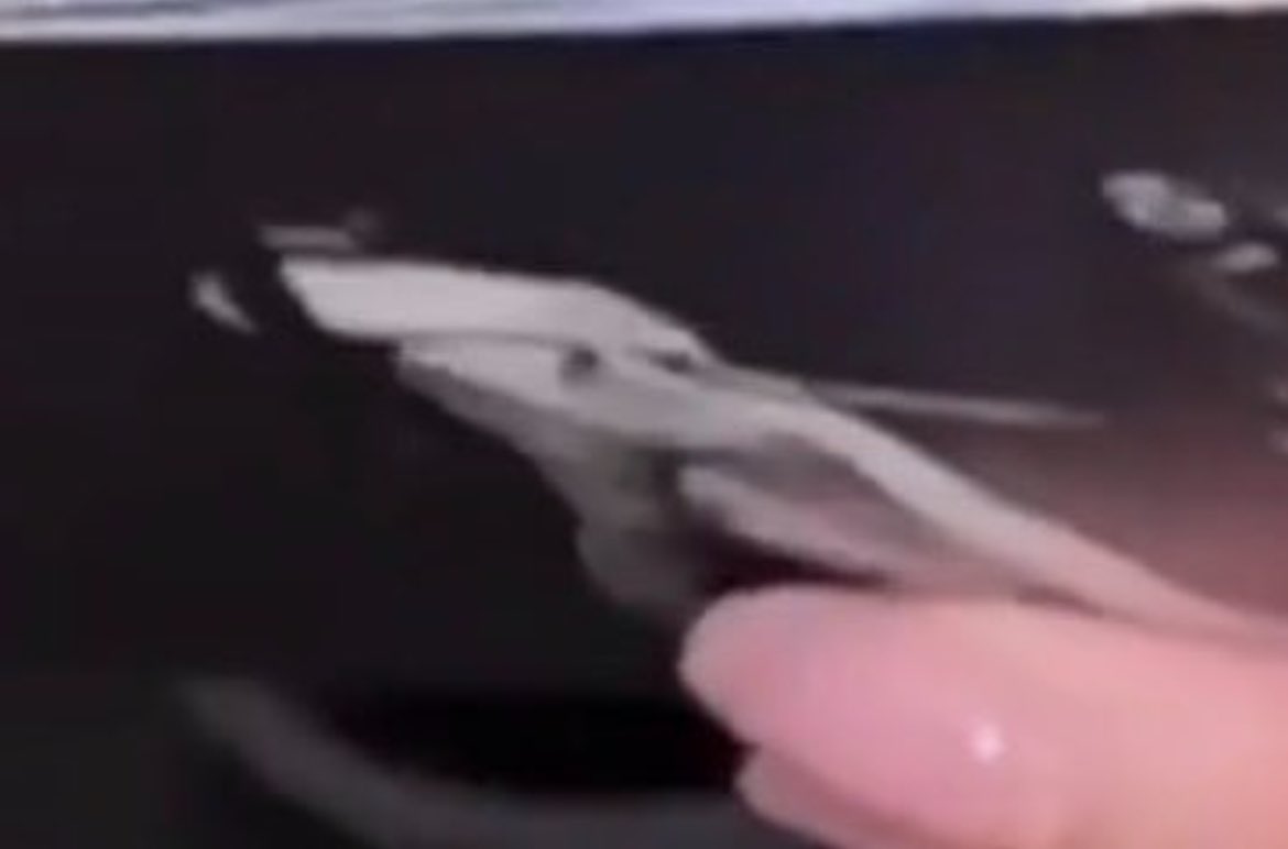 æriel 🍋‍🟩 tweet media