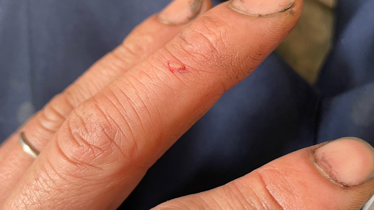 一番のMANEGO Ⓜ️ tweet media