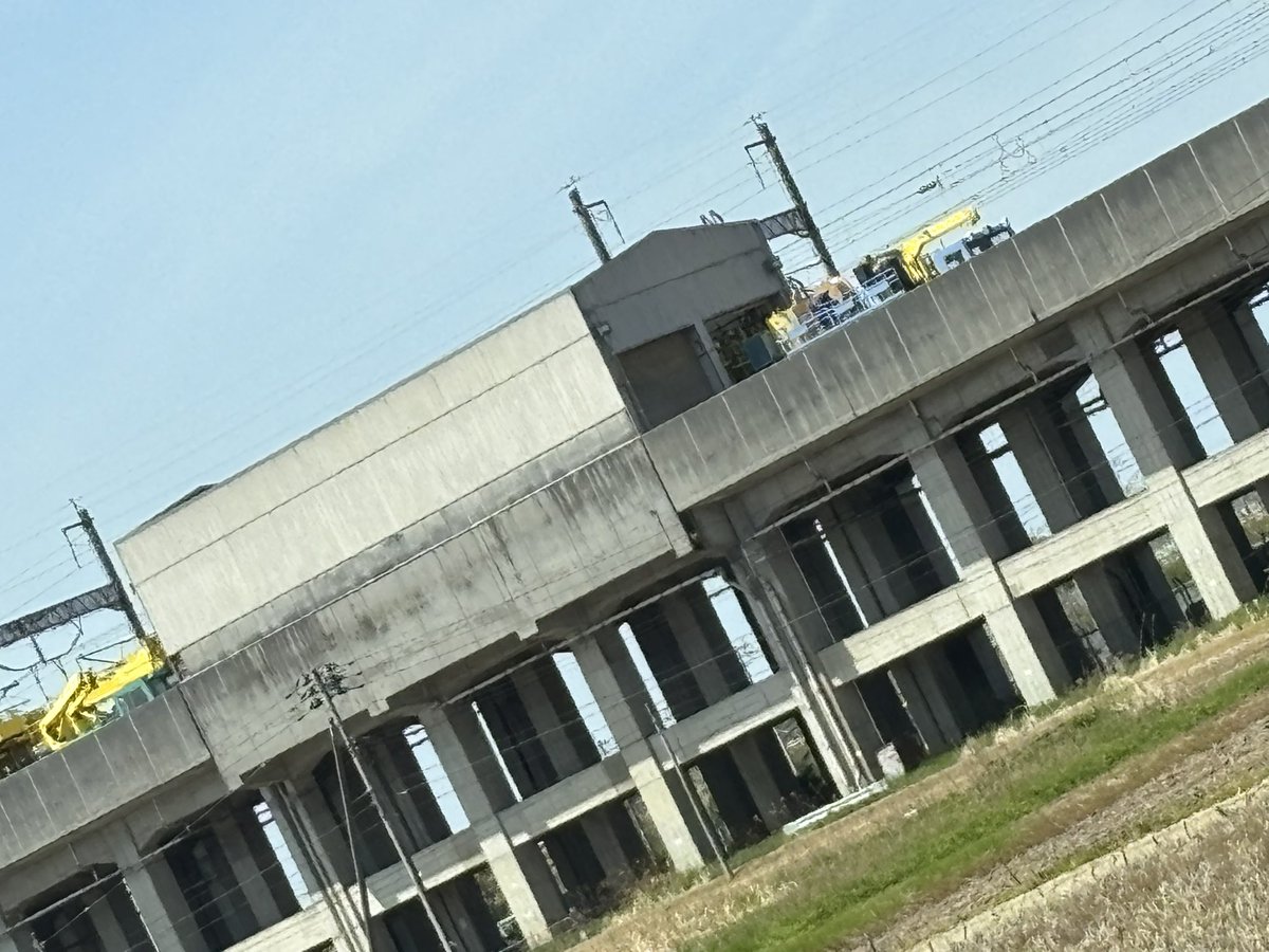 ドスコイちゃん＠V-MAX tweet media