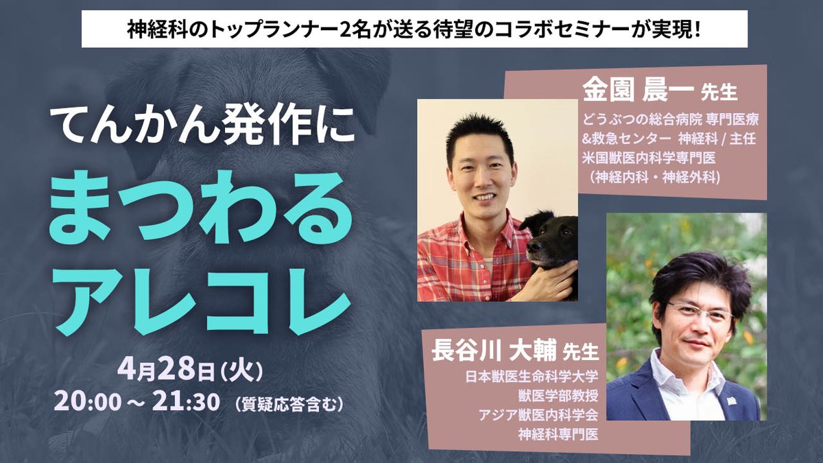 VETSCOPE｜獣医療専門オンラインセミナー tweet media