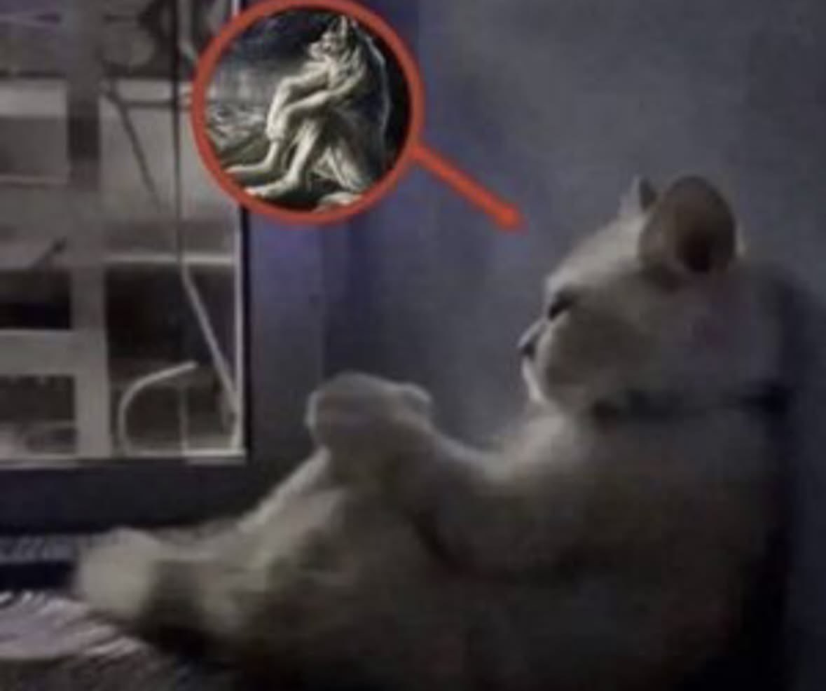 sarah ๋ ࣭ ⭑ tweet media