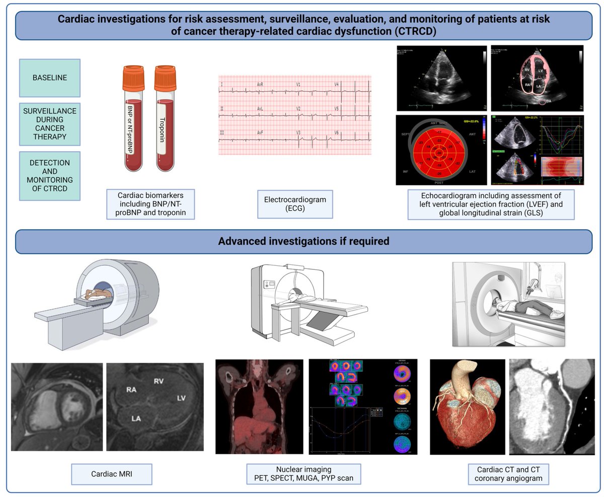 JCM_MDPI's tweet image. #mdpijcm
#EditorChoice Paper🔍
#Chemotherapy Related #Cardiotoxicity Evaluation—A Contemporary Review with a Focus on #CardiacImaging
👉mdpi.com/2844414
👥@MayoMedEd @Bgheyath
🏫@CleClinicMD @MayoMedEd
@MediPharma_MDPI
#cardio-oncology;  #echocardiography
