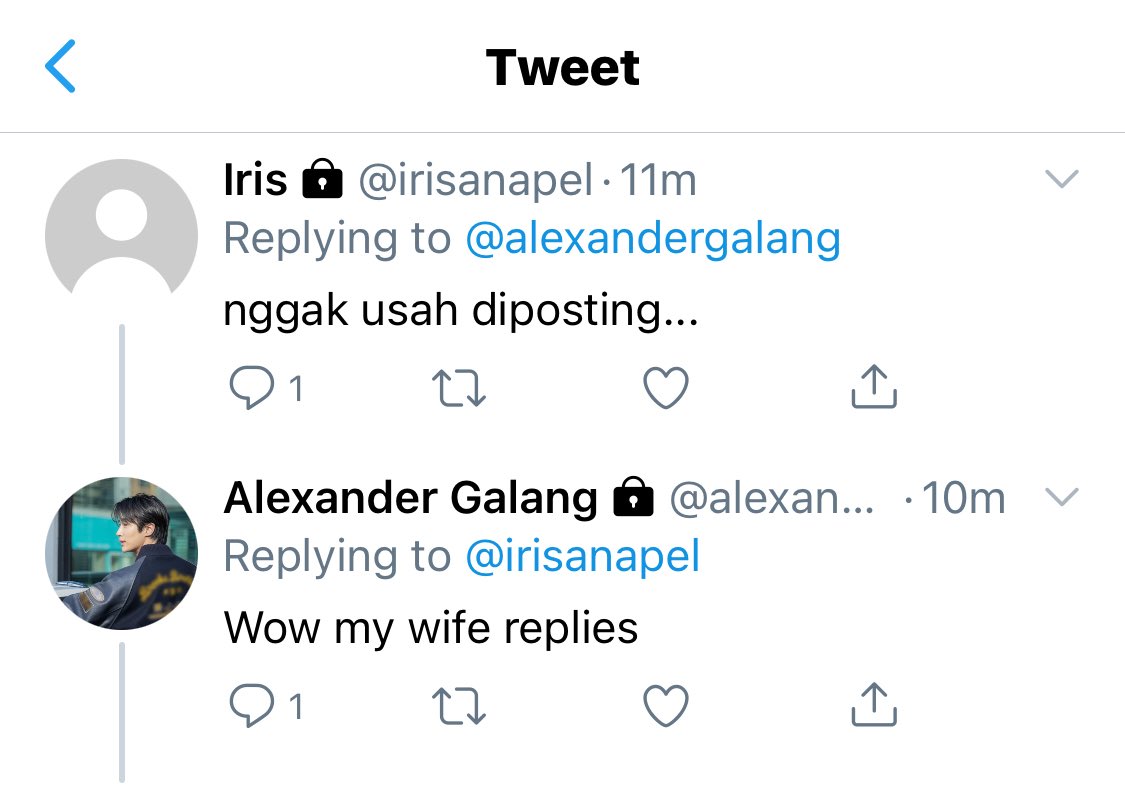 alice tweet media