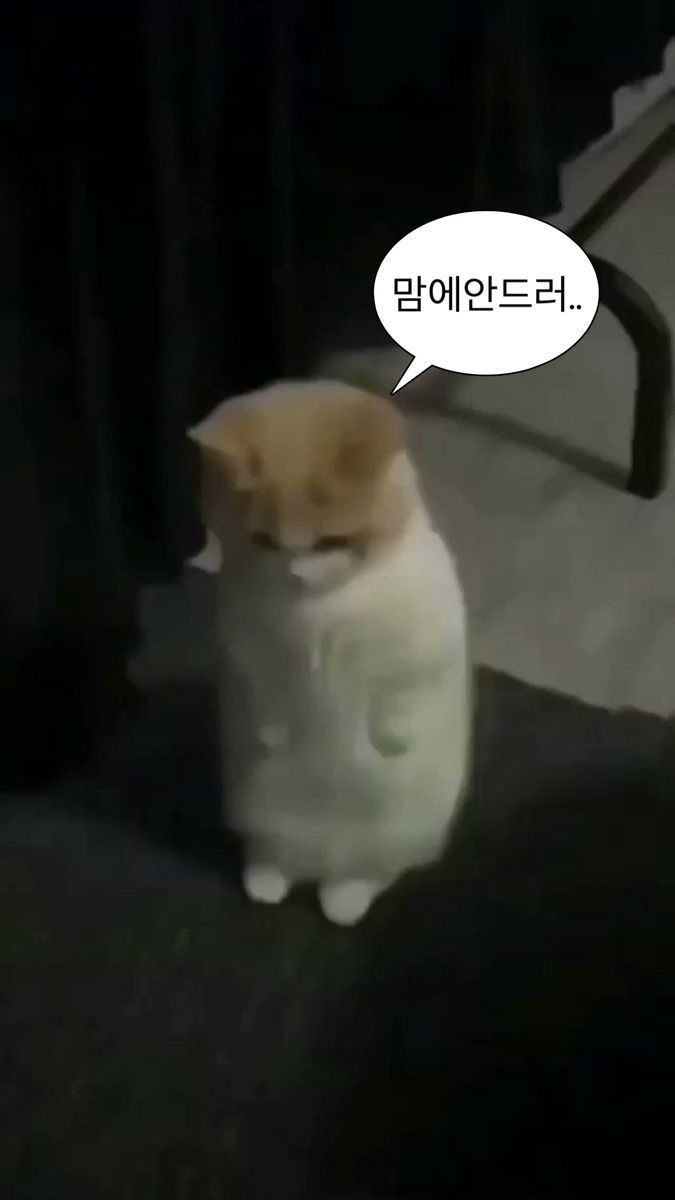 모리 tweet media