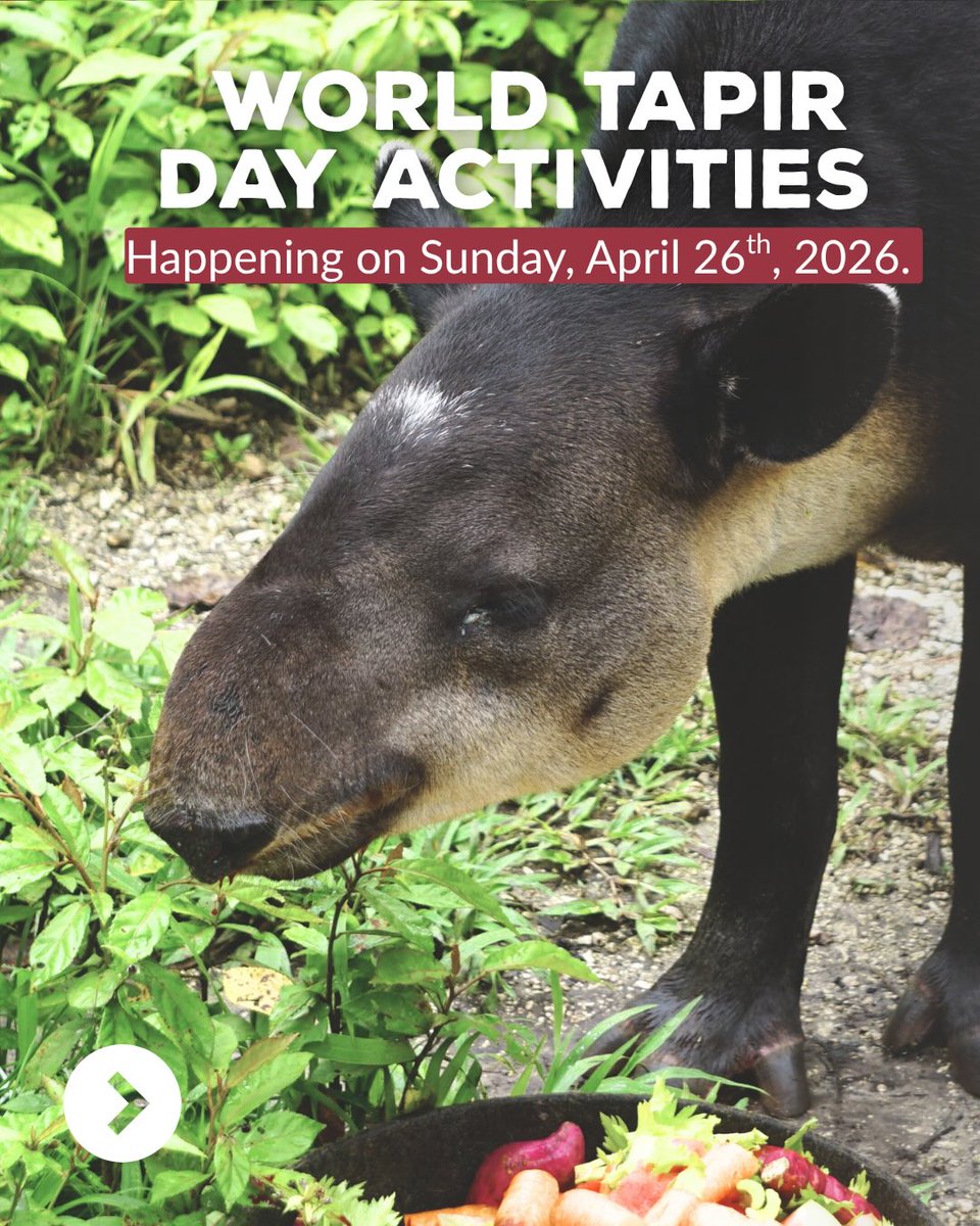 The Belize Zoo and Tropical Education Center tweet media