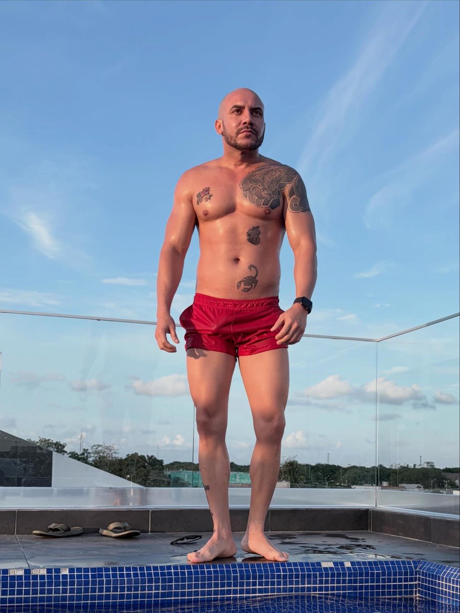 Alexander Fonseca tweet media