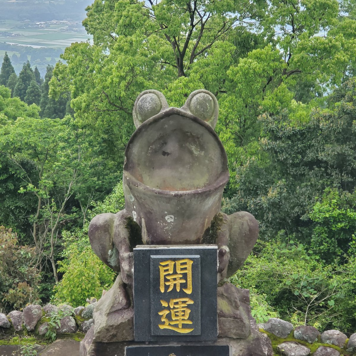 frogfox1's tweet photo. わたしの中では、死ぬまでに観ておきたい、かえる100選のひとつを見にきました。 https://t.co/wmUSyu9TZF
