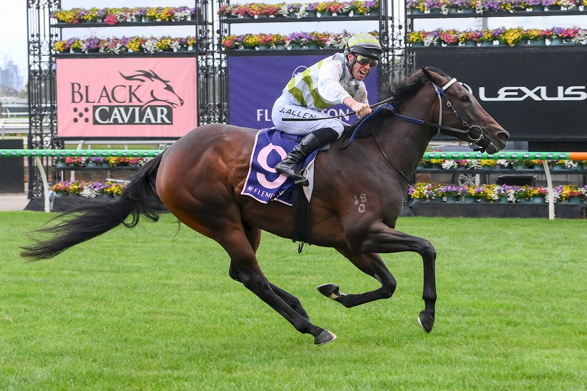 Sportsbet-Ballarat tweet media