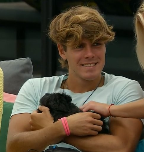 Marcos Ginocchio tweet media