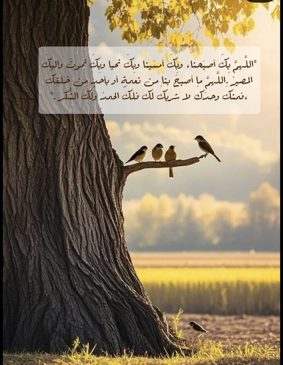 المحاميه هند جهاد العنزي /دستوريه وتمييز .. tweet media