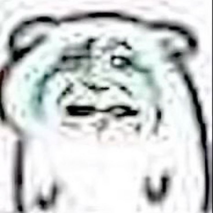 nai ୨ৎ tweet media