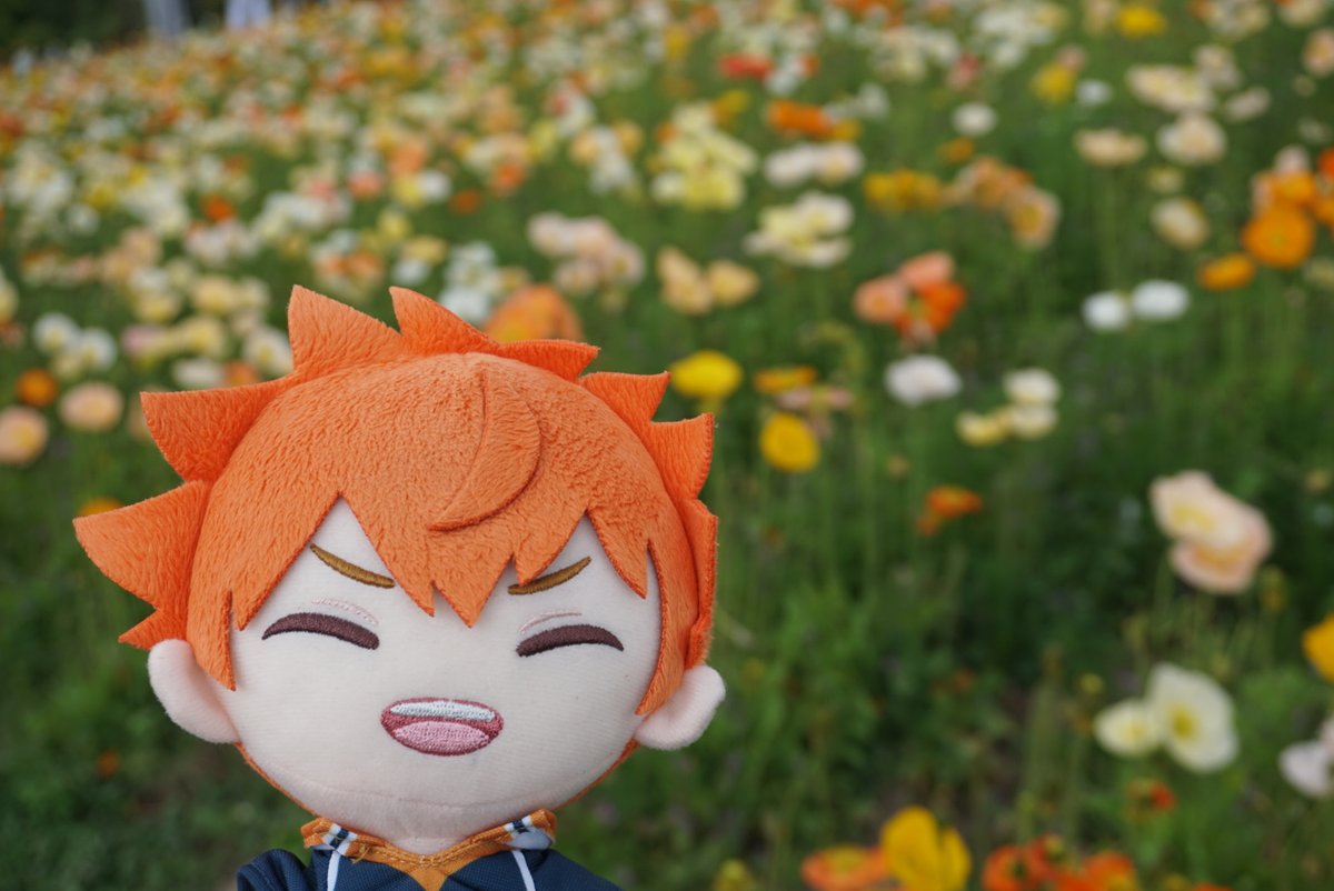 わーくぷらすSHOP(minne・インスタも見てね❤) tweet media