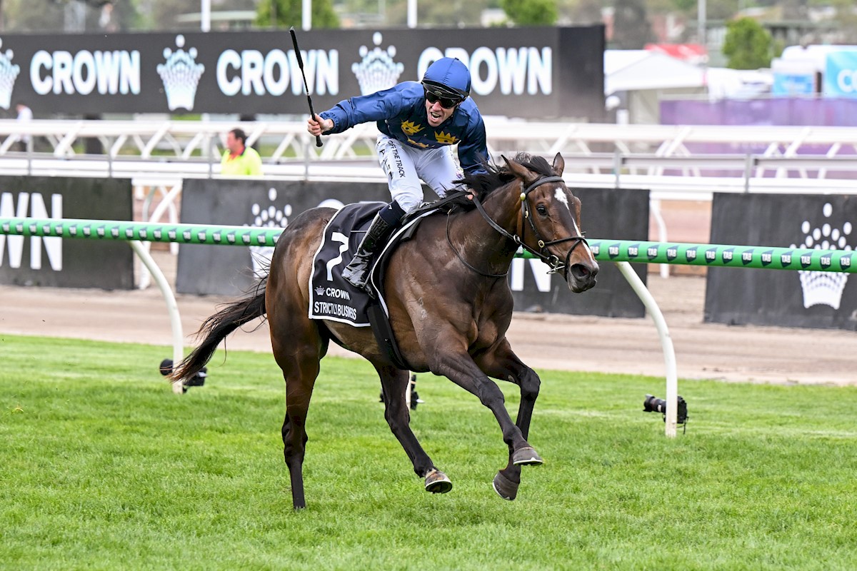 Sportsbet-Ballarat tweet media
