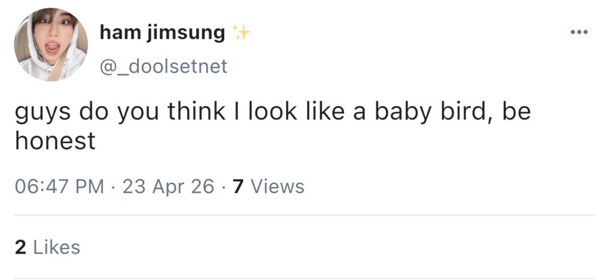 holy_hell_dean's tweet photo. a short established mnsng 🐰🐿️ smau (socmed au) 

where Jsng finds a bird pecking their window and lets her inside, much to Mnho’s dismay https://t.co/fc2AeMXa5o