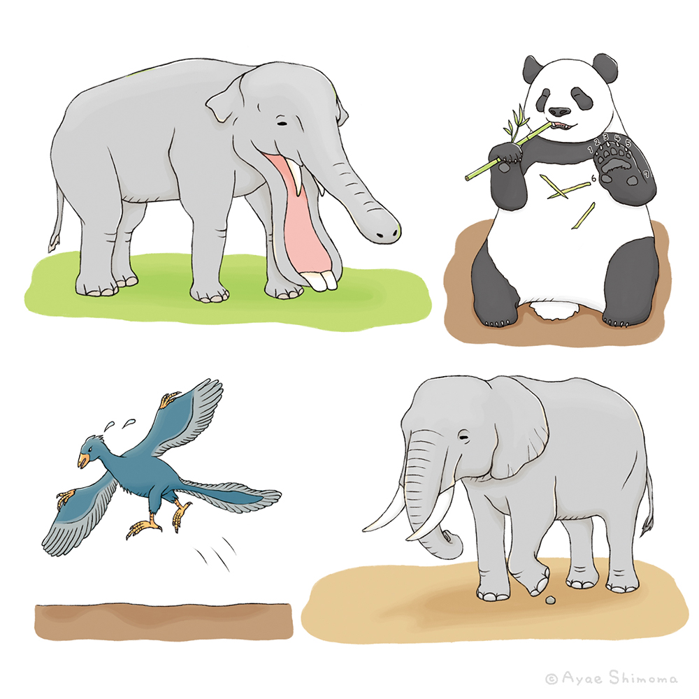 ayaeshimoma's tweet image. 株式会社高橋書店様『新ざんねんないきもの事典　昔のざんねん、今のざんねん』　
カバーイラスト・本文いきものイラストを担当させて頂きました。
第11弾に突入です！🦏🦥🦖
今回も、たくさんの生き物を描かせて頂きました。💛

#ざんねんないきもの事典 #illustration #イラ通