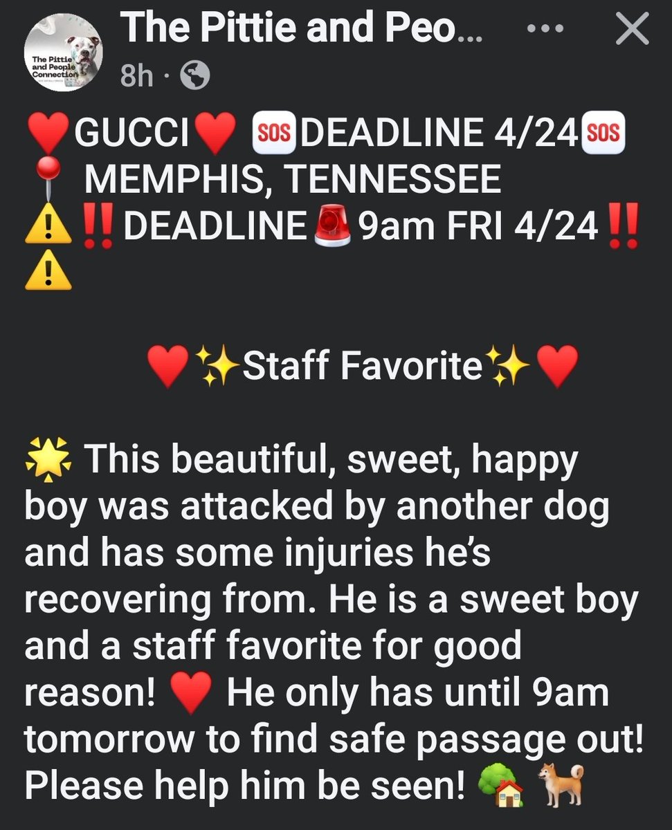 Proud Army Mom and American Patriot💚 🇺🇸❤️🇺🇸💚 tweet media