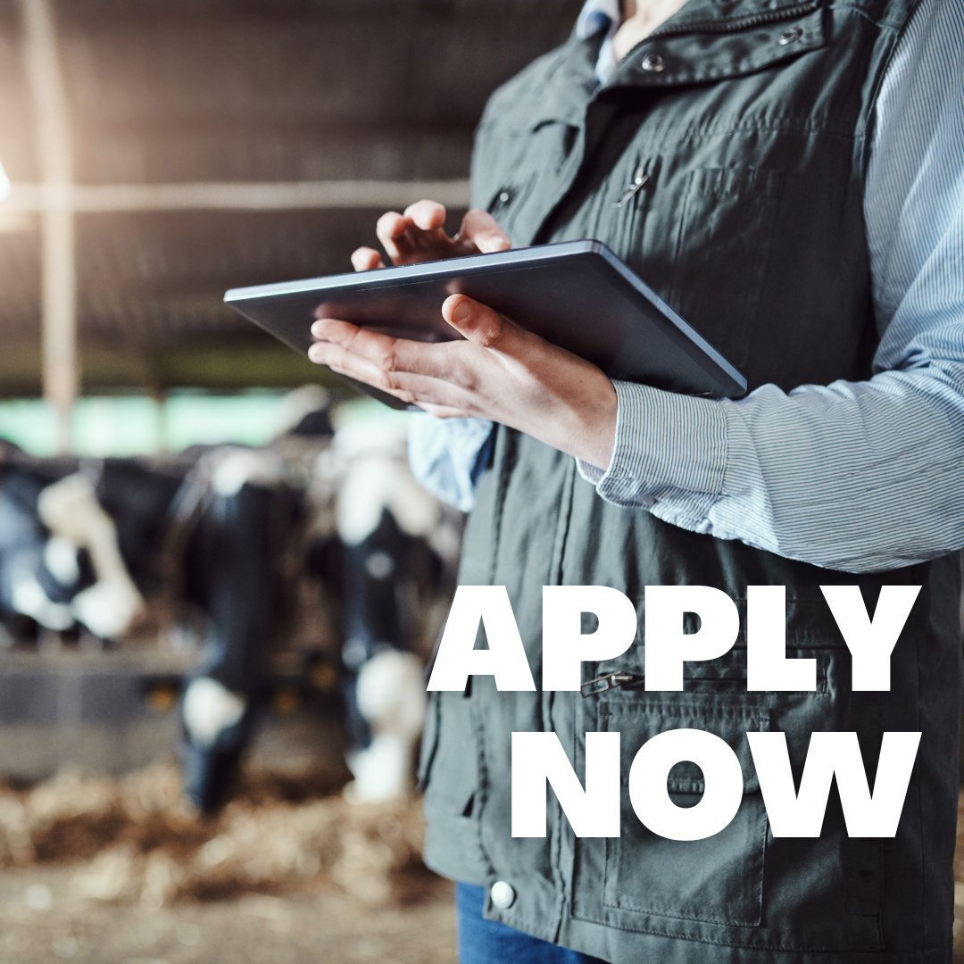 ApplyAgriJobs's tweet image. SENIOR FP&amp;amp;A ANALYST - High-impact role focused on understanding why performance is moving - Melbourne VIC. clientapps.jobadder.com/77018/agricult…
#agjobs #seek #agchatoz #accounting #finance #agritalent #agrecruitment #nowhiring