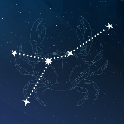 🦈🫧ConniCosmic🫧🦈 tweet media