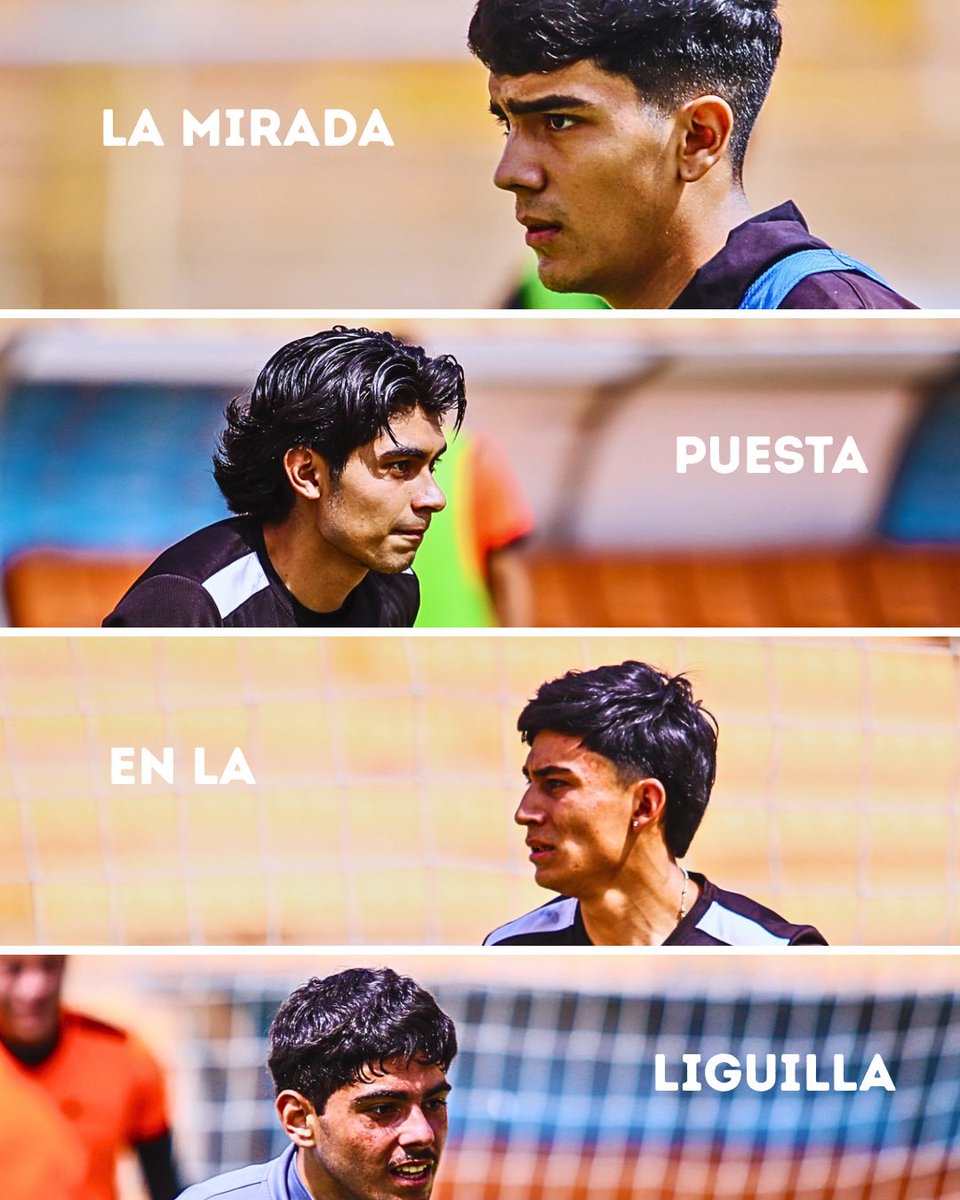 Alebrijes Oaxaca TDP tweet media