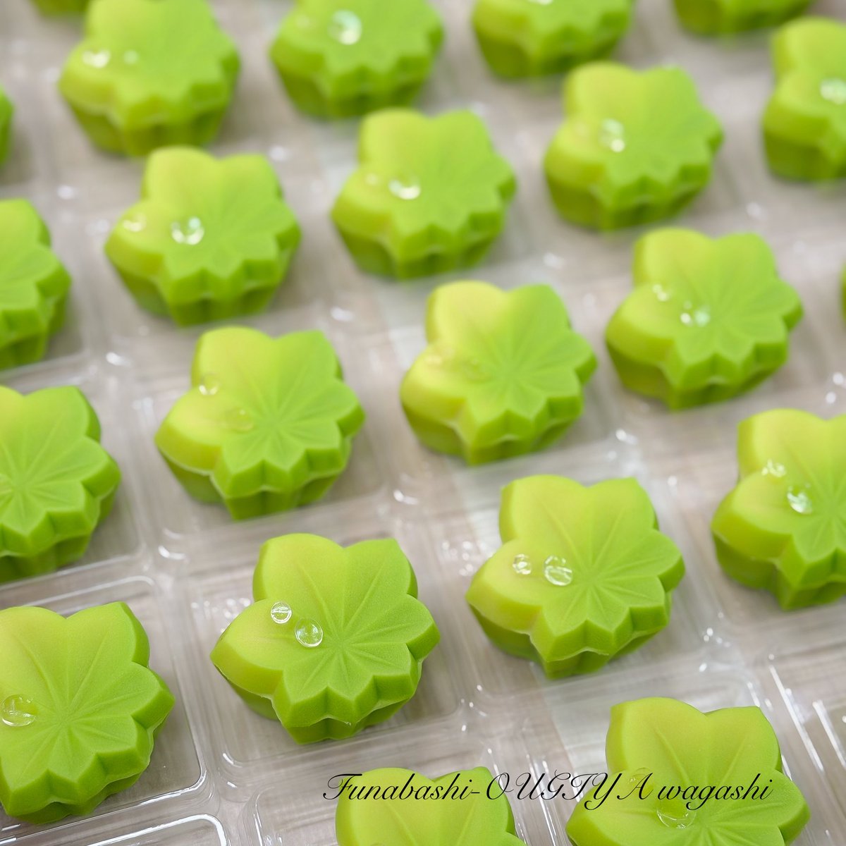 新緑のやさしい香りと彩りに包まれて、
穏やかに季節が移ろっていく様子が、とても心地よく感じられます🌿
今週もお疲れ様でした☺️
どうぞ素敵な週末をお過ごしくださいね。

“若楓”  煉り切製