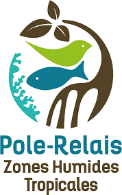 CGRichardSamuel's tweet image. #EDD #PEAC Racines en mouvement, projet pour sensibiliser à la sauvegarde des zones humides de Guadeloupe. Aujourd'hui, tournage des 5eCHAT de @CGRichardSamuel à la Maison de la Mangrove: silence, moteur, ça tourne! @AcGuadeloupe @GuadeloupeEdd @DAACGuadeloupe