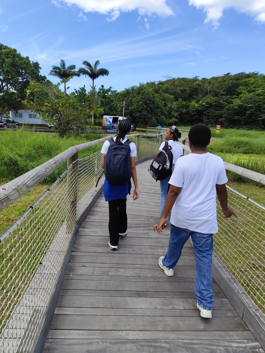 CGRichardSamuel's tweet image. #EDD #PEAC Racines en mouvement, projet pour sensibiliser à la sauvegarde des zones humides de Guadeloupe. Aujourd'hui, tournage des 5eCHAT de @CGRichardSamuel à la Maison de la Mangrove: silence, moteur, ça tourne! @AcGuadeloupe @GuadeloupeEdd @DAACGuadeloupe