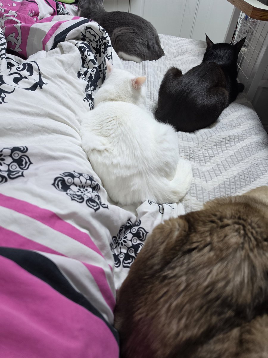 별만가득 tweet media